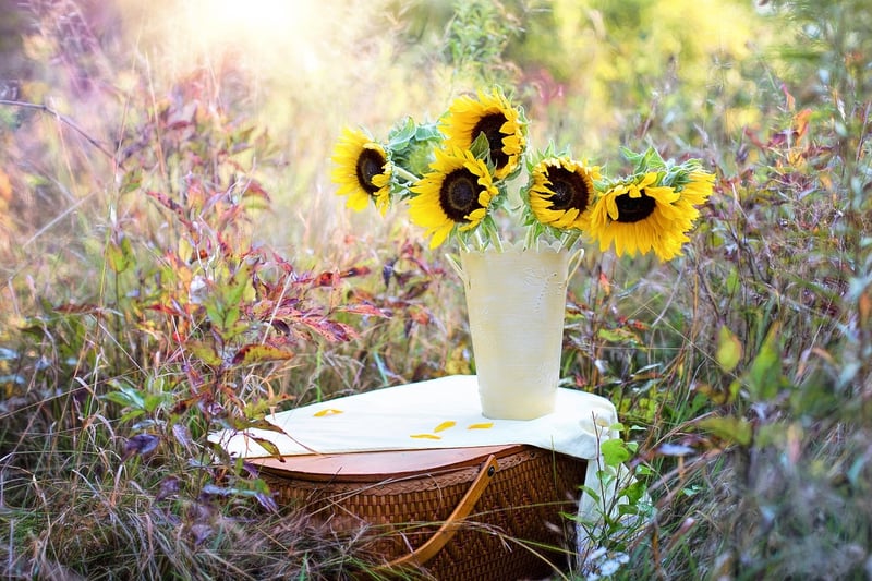 Beautiful Flowers